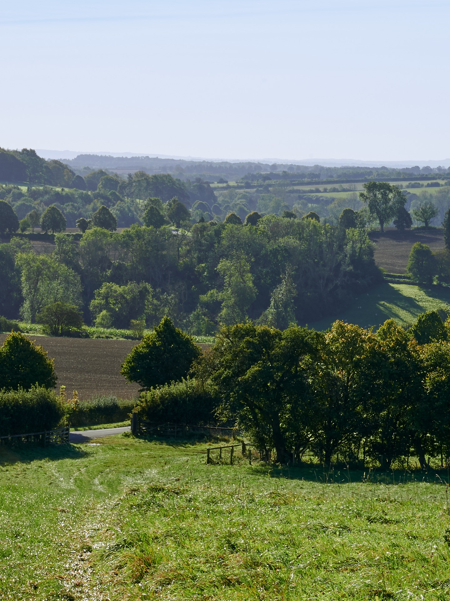 Local logs Little Owl Logs